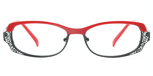 Rectangle Sophisticated Mixed Materials Eyeglasses