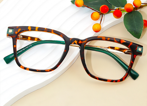 Rectangle Eyeglasses