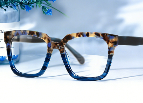 Horn Eyeglasses