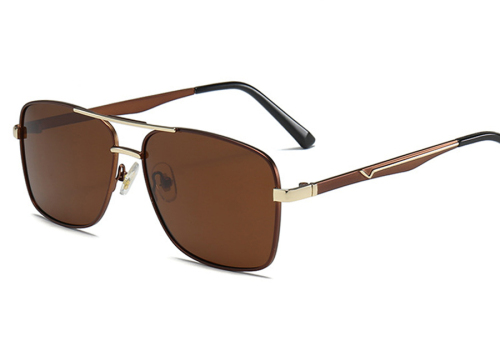 Aviator Eyeglasses