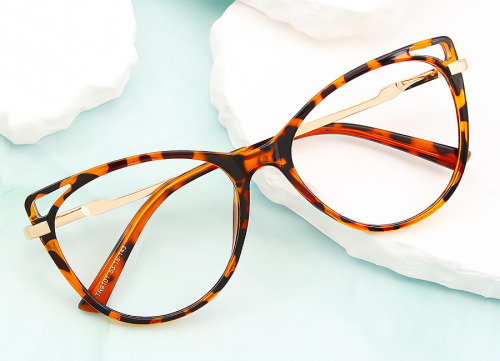 Cat Eye Exquisite TR90 Eyeglasses