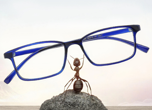 Rectangle Eyeglasses